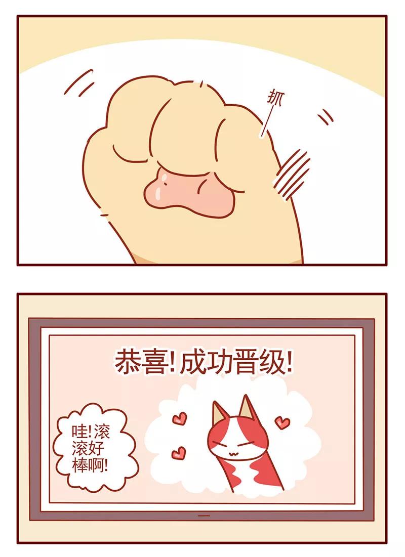 我只是一只小猫咪 第40话 第16页