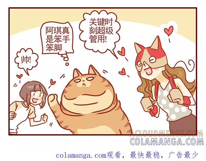 我只是一只小猫咪 第40话 第17页