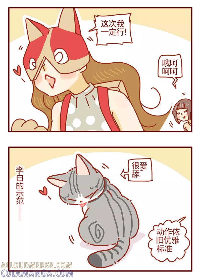 我只是一只小猫咪 第40话 第3页