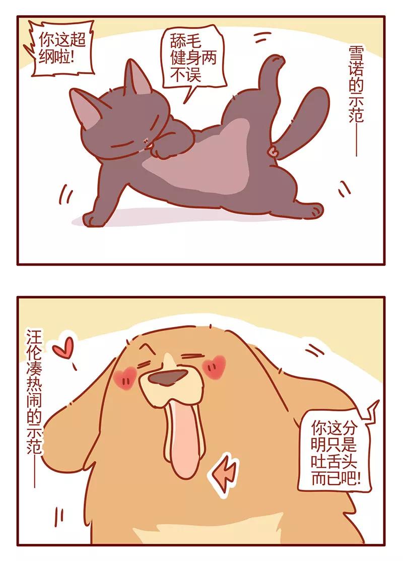我只是一只小猫咪 第40话 第4页