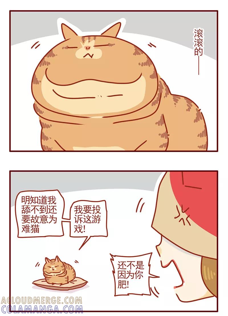 我只是一只小猫咪 第40话 第5页