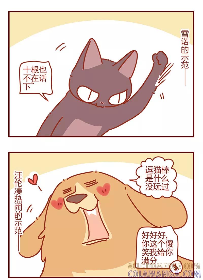 我只是一只小猫咪 第40话 第13页