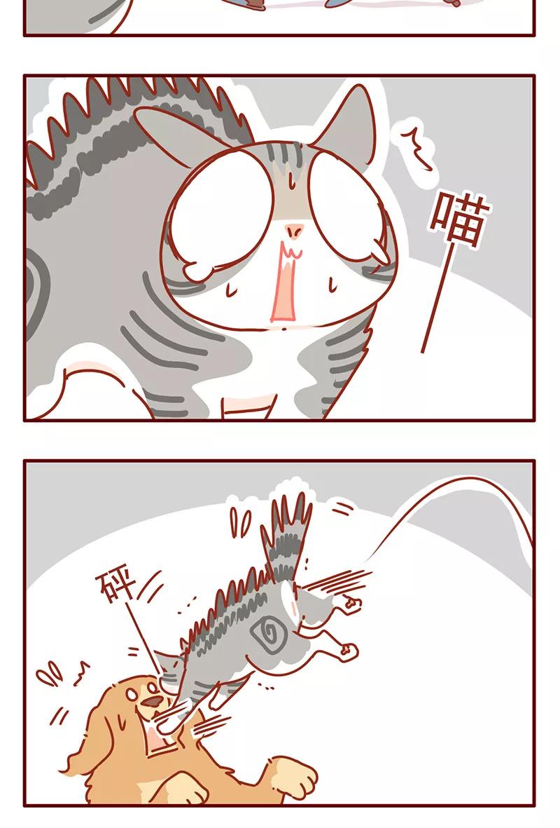 我只是一只小猫咪 第41话 第14页