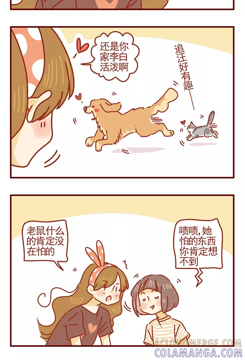 我只是一只小猫咪 第41话 第9页