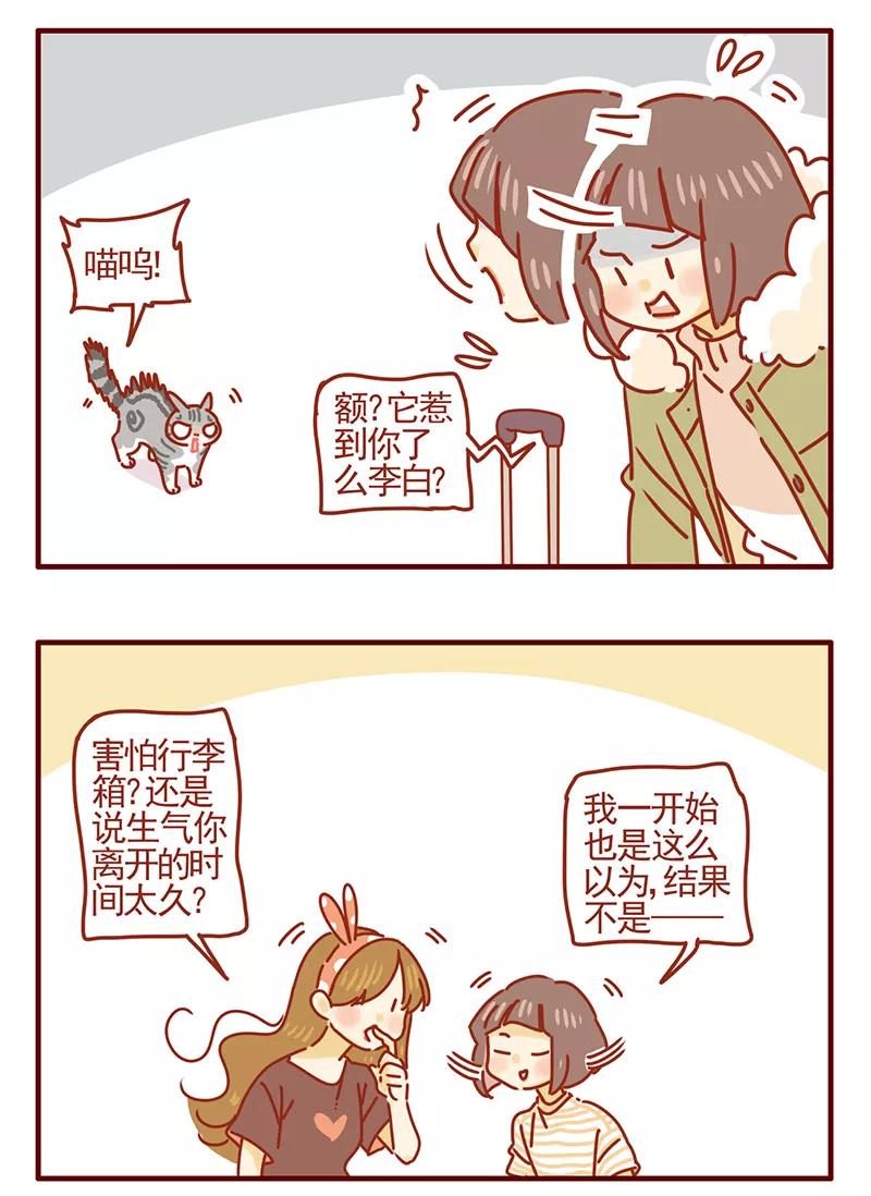 我只是一只小猫咪 第41话 第12页