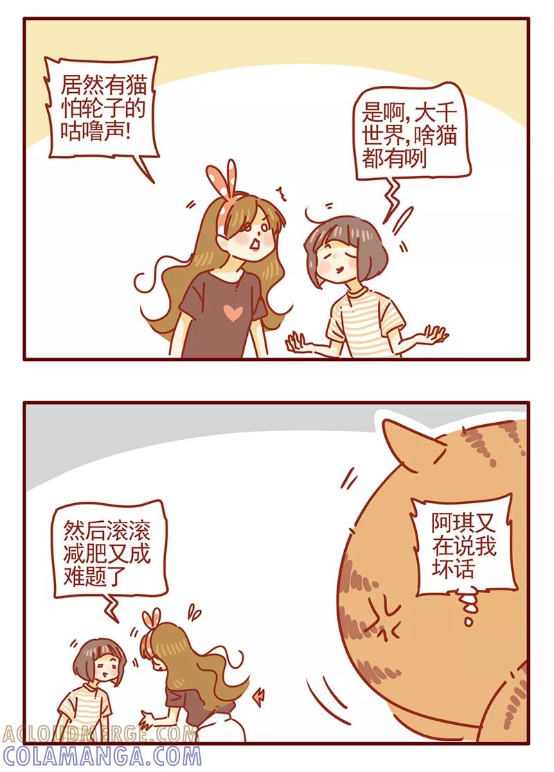 我只是一只小猫咪 第41话 第15页