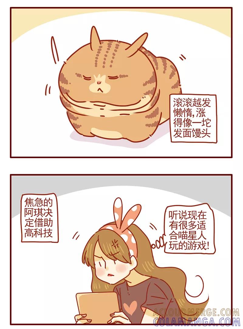 我只是一只小猫咪 第41话 第3页