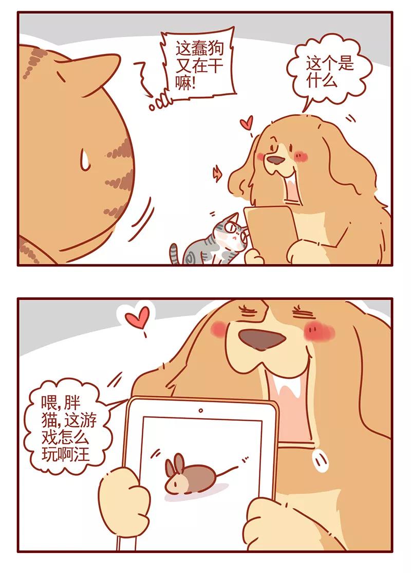 我只是一只小猫咪 第41话 第16页