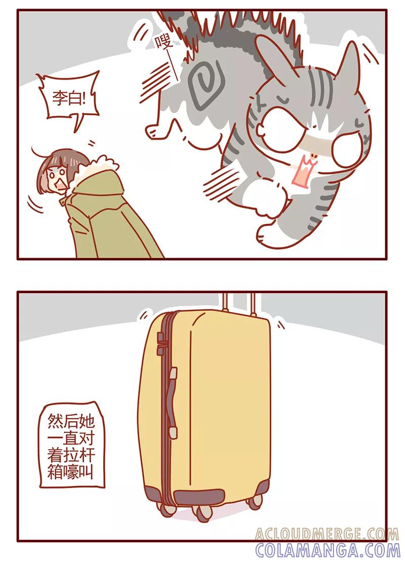 我只是一只小猫咪 第41话 第11页