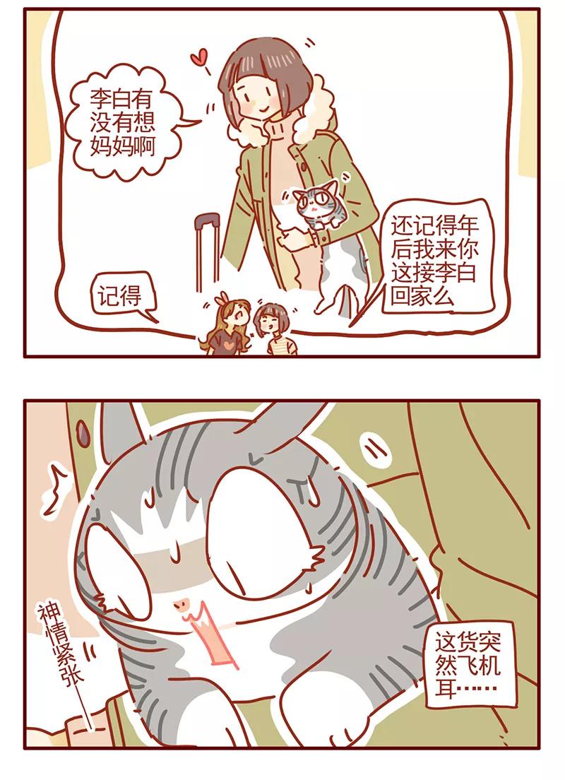 我只是一只小猫咪 第41话 第10页