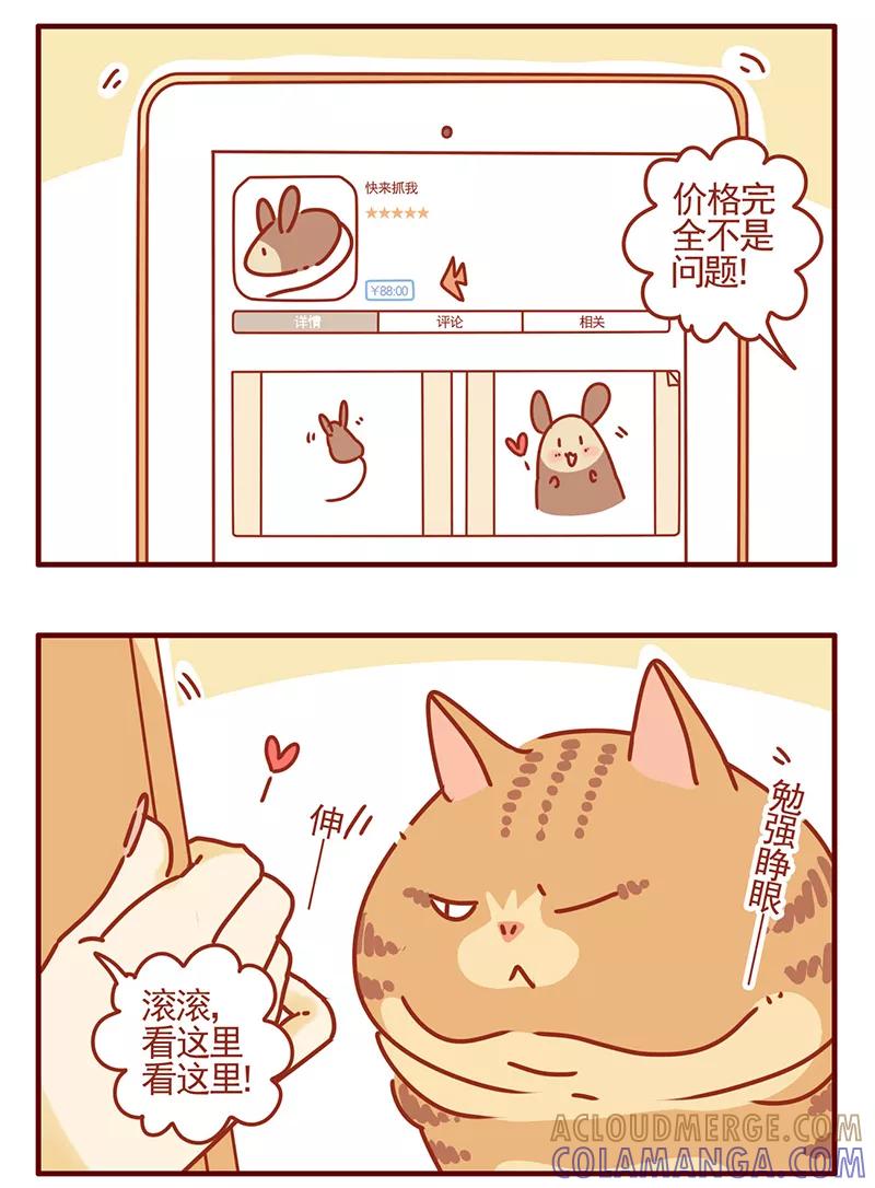 我只是一只小猫咪 第41话 第5页