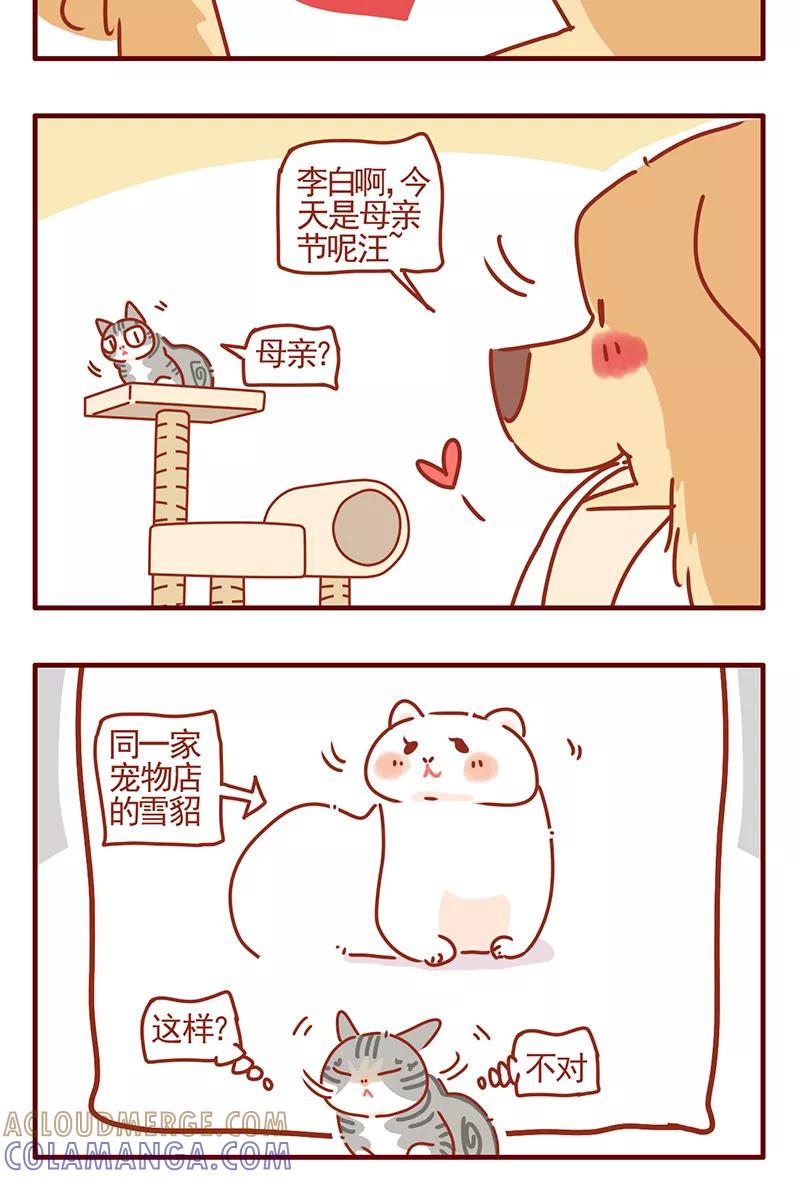 我只是一只小猫咪 第42话 第13页