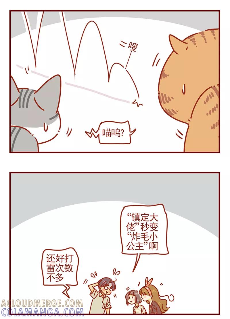 我只是一只小猫咪 第42话 第11页