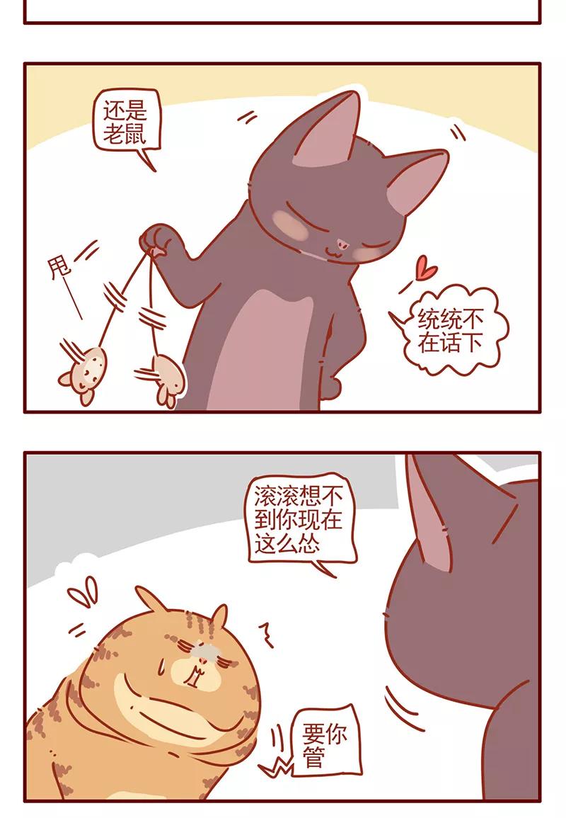 我只是一只小猫咪 第42话 第8页