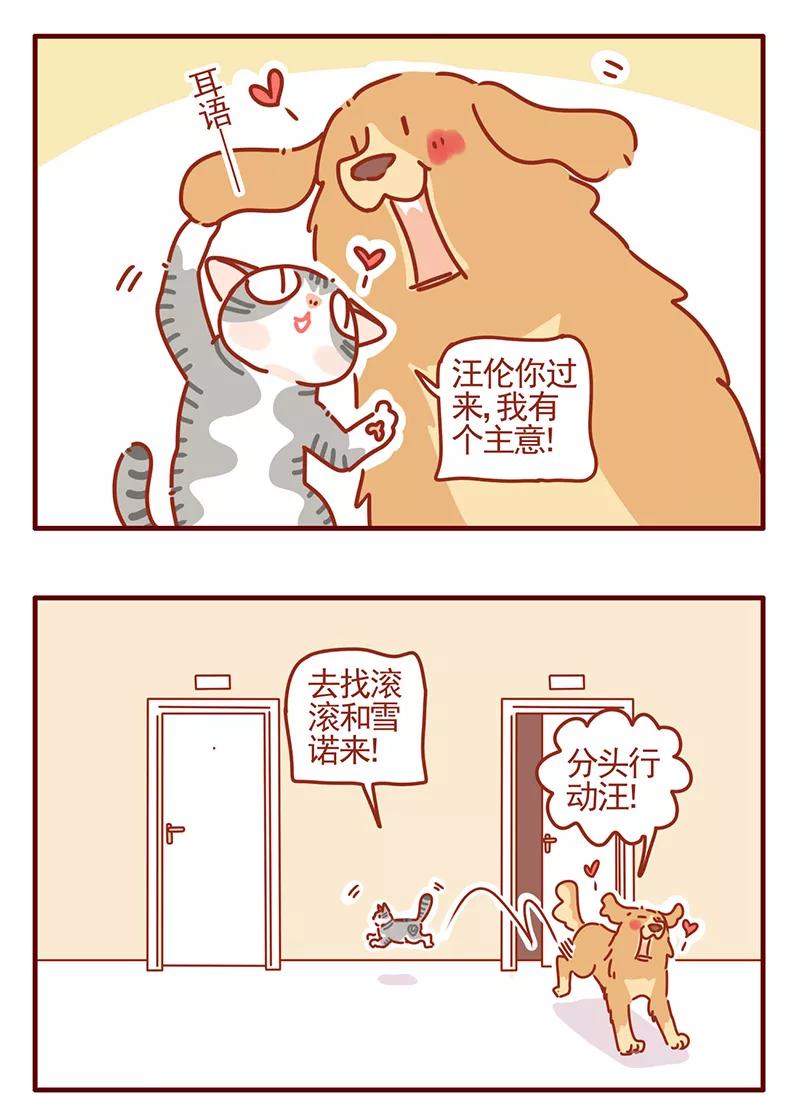 我只是一只小猫咪 第42话 第16页