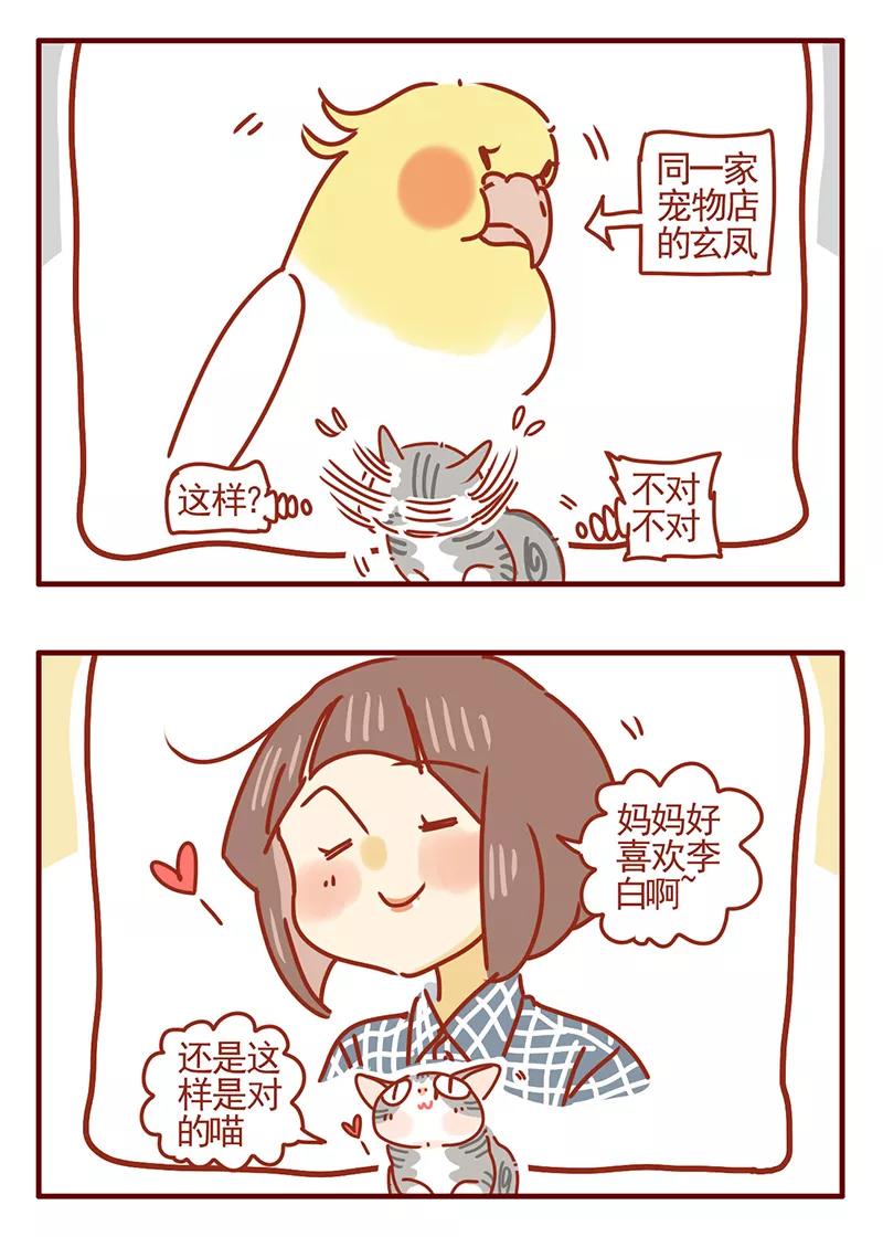 我只是一只小猫咪 第42话 第14页