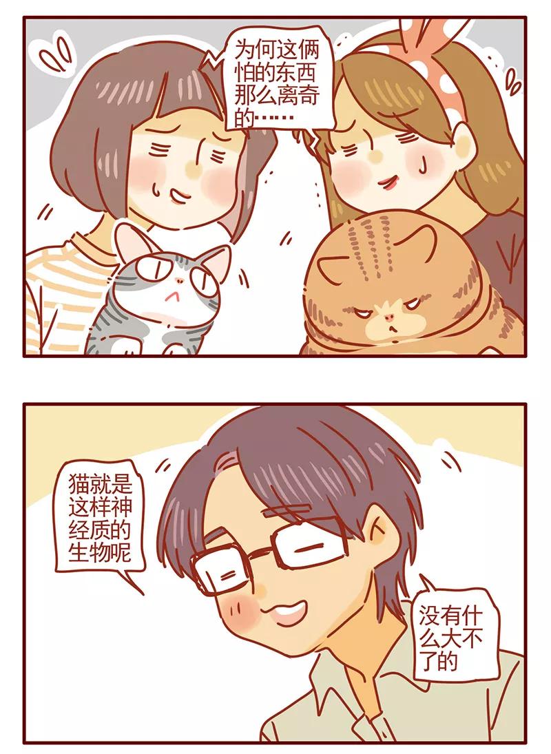 我只是一只小猫咪 第42话 第6页