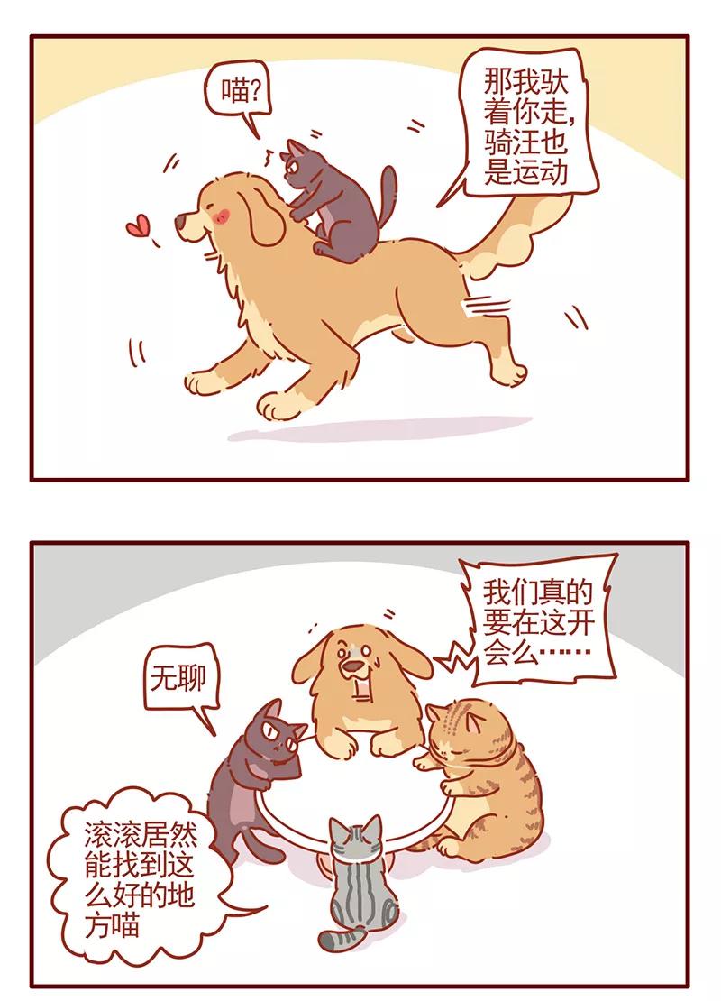 我只是一只小猫咪 第43话 第6页