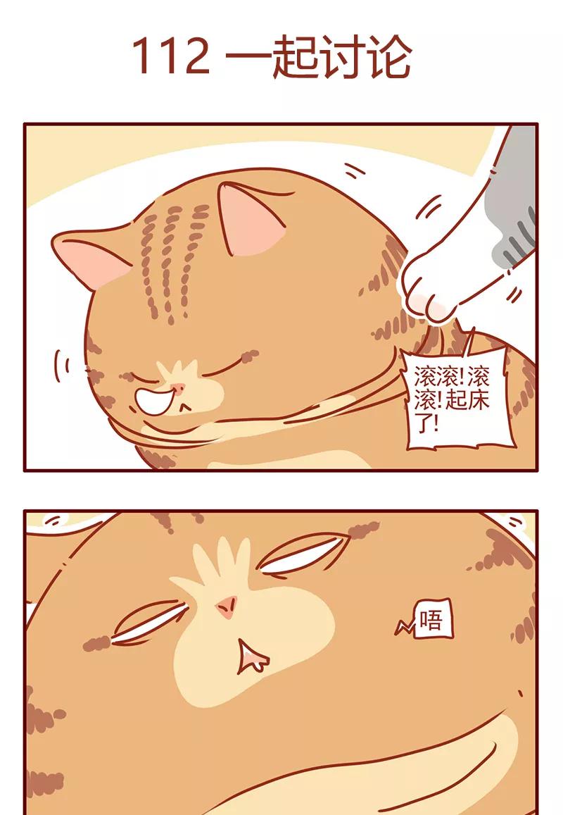 我只是一只小猫咪 第43话 第2页