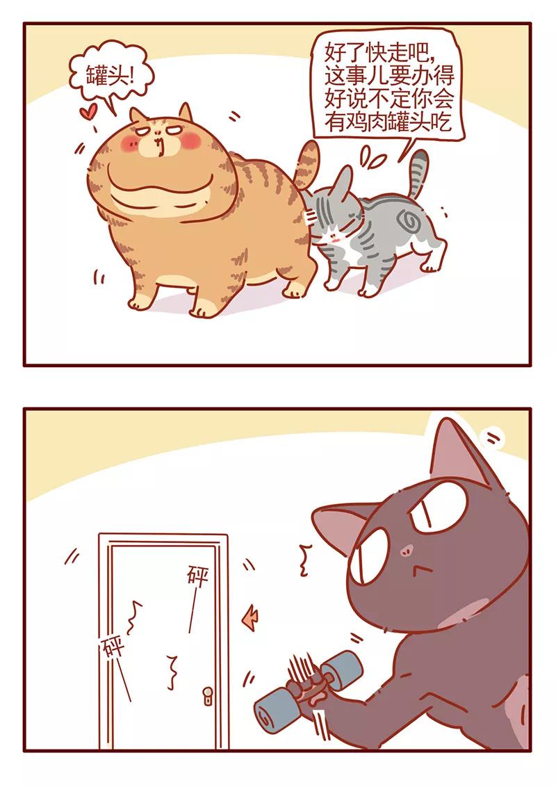 我只是一只小猫咪 第43话 第4页