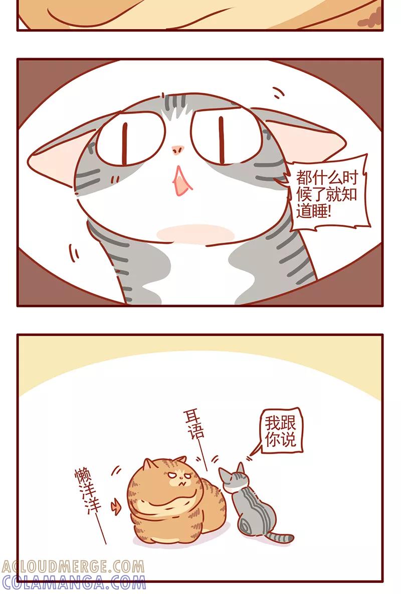 我只是一只小猫咪 第43话 第3页