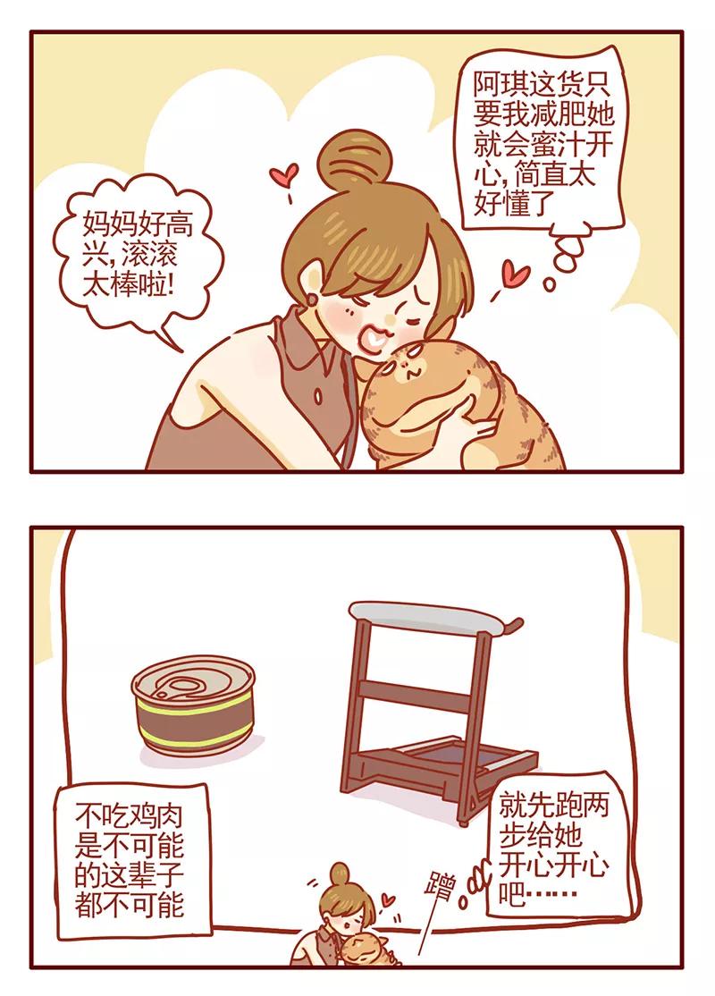 我只是一只小猫咪 第43话 第14页