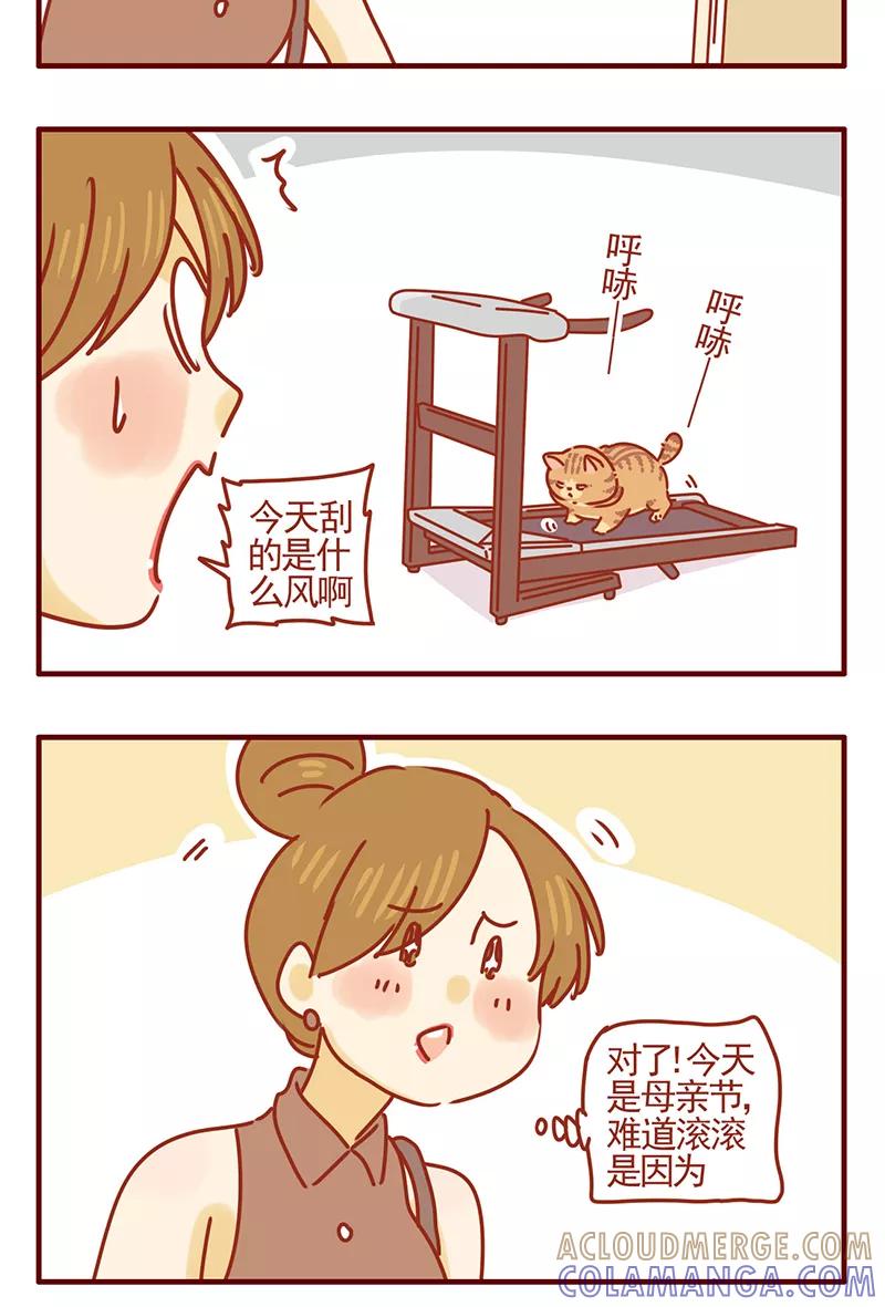 我只是一只小猫咪 第43话 第13页