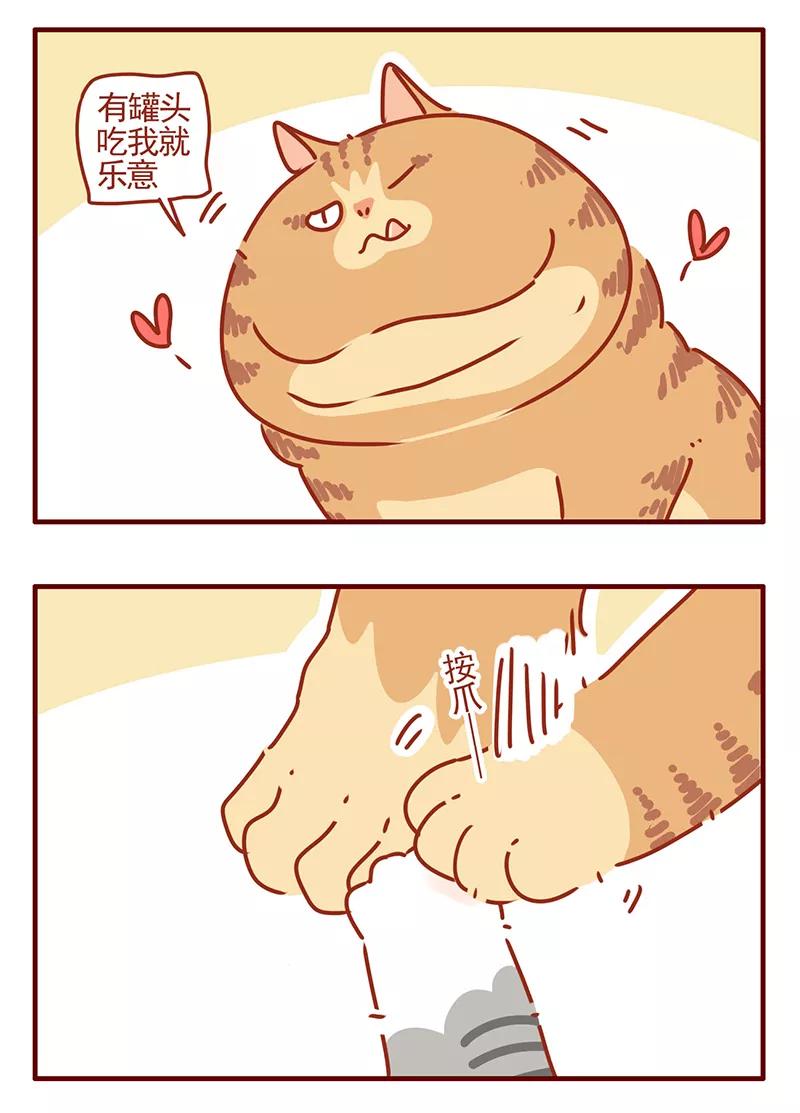 我只是一只小猫咪 第43话 第10页