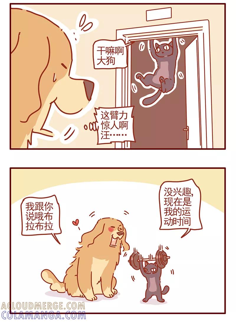 我只是一只小猫咪 第43话 第5页