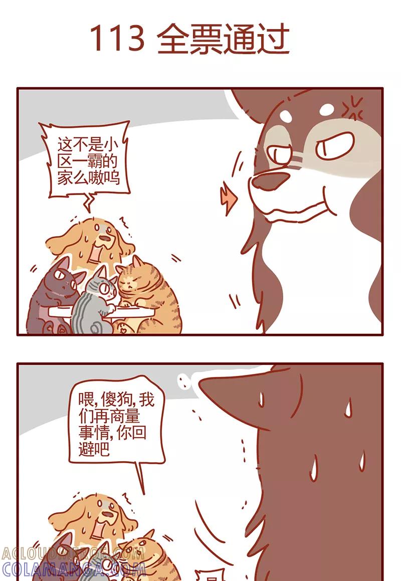 我只是一只小猫咪 第43话 第7页