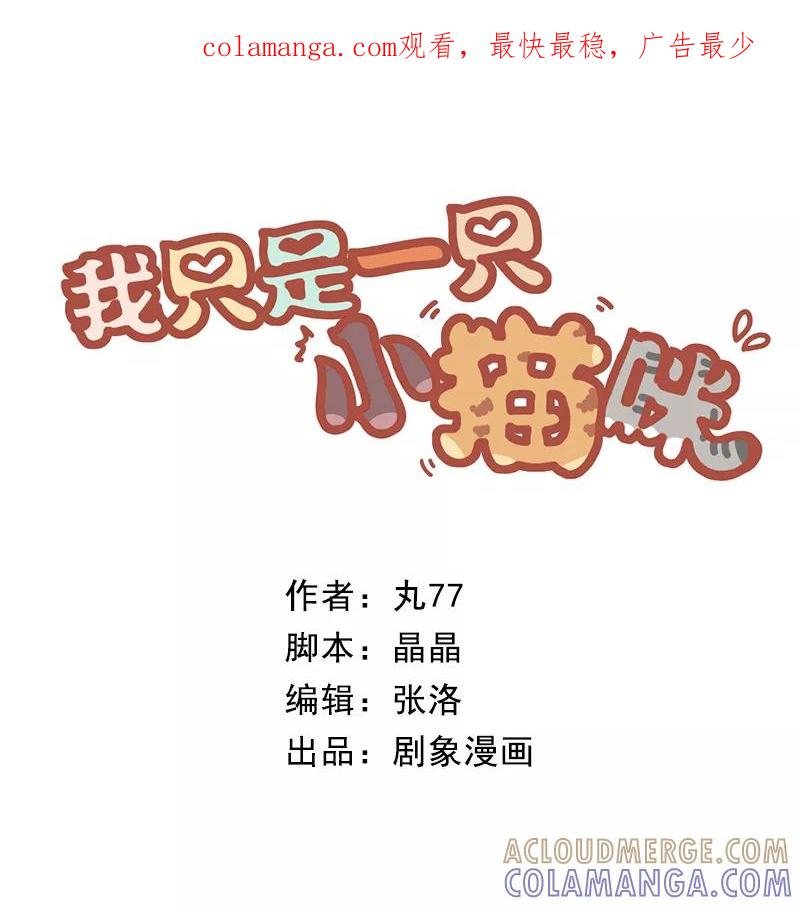 我只是一只小猫咪 第43话 第1页