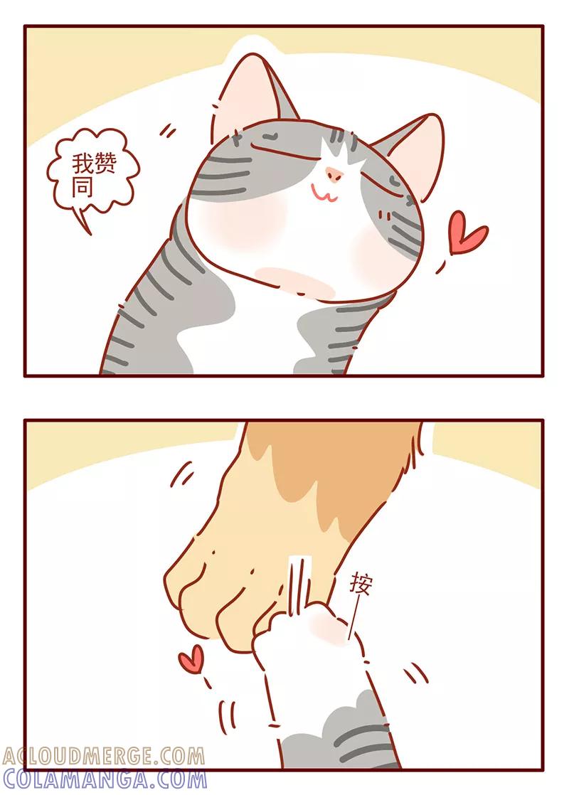 我只是一只小猫咪 第43话 第9页