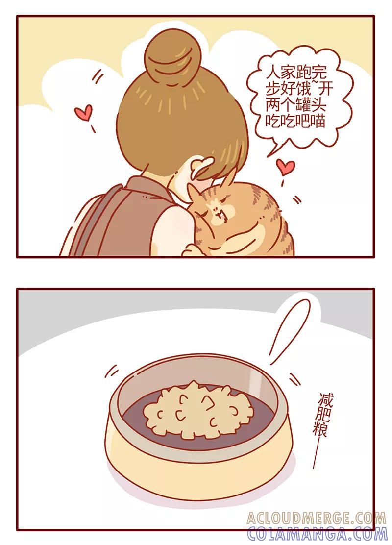 我只是一只小猫咪 第43话 第15页