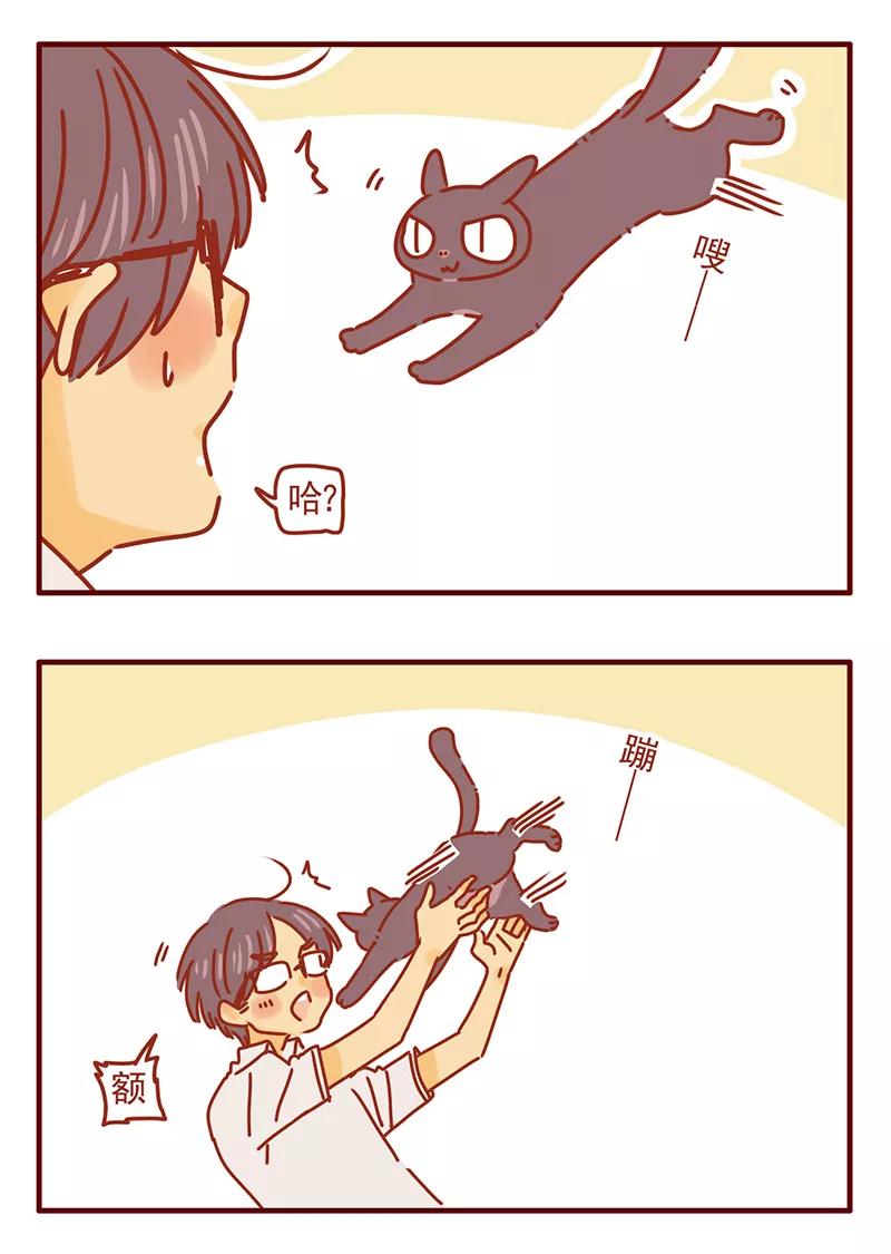 我只是一只小猫咪 第44话 第14页