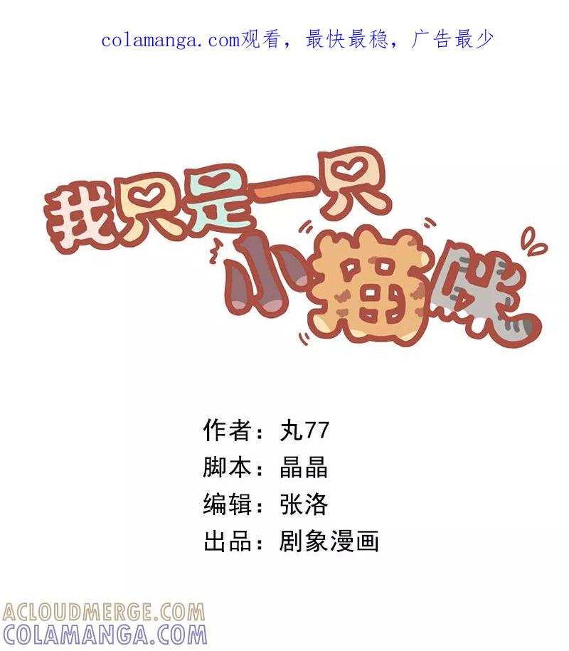 我只是一只小猫咪 第44话 第1页