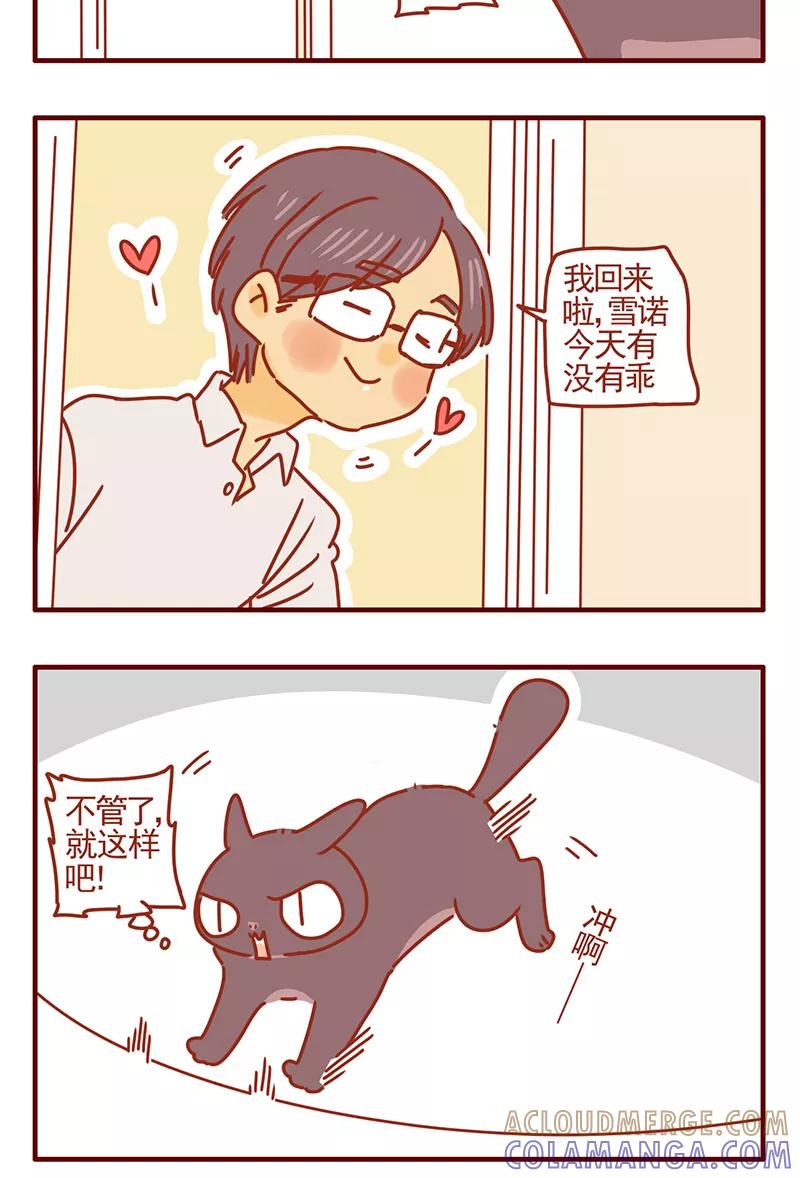 我只是一只小猫咪 第44话 第13页