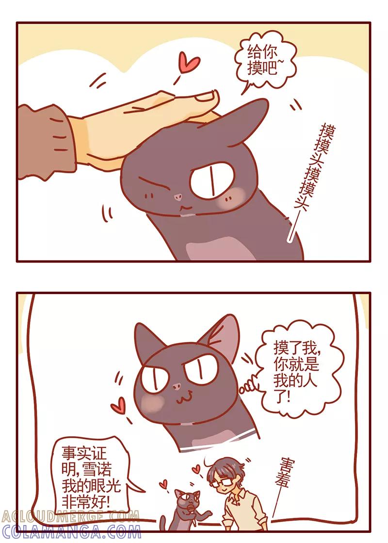 我只是一只小猫咪 第45话 第15页