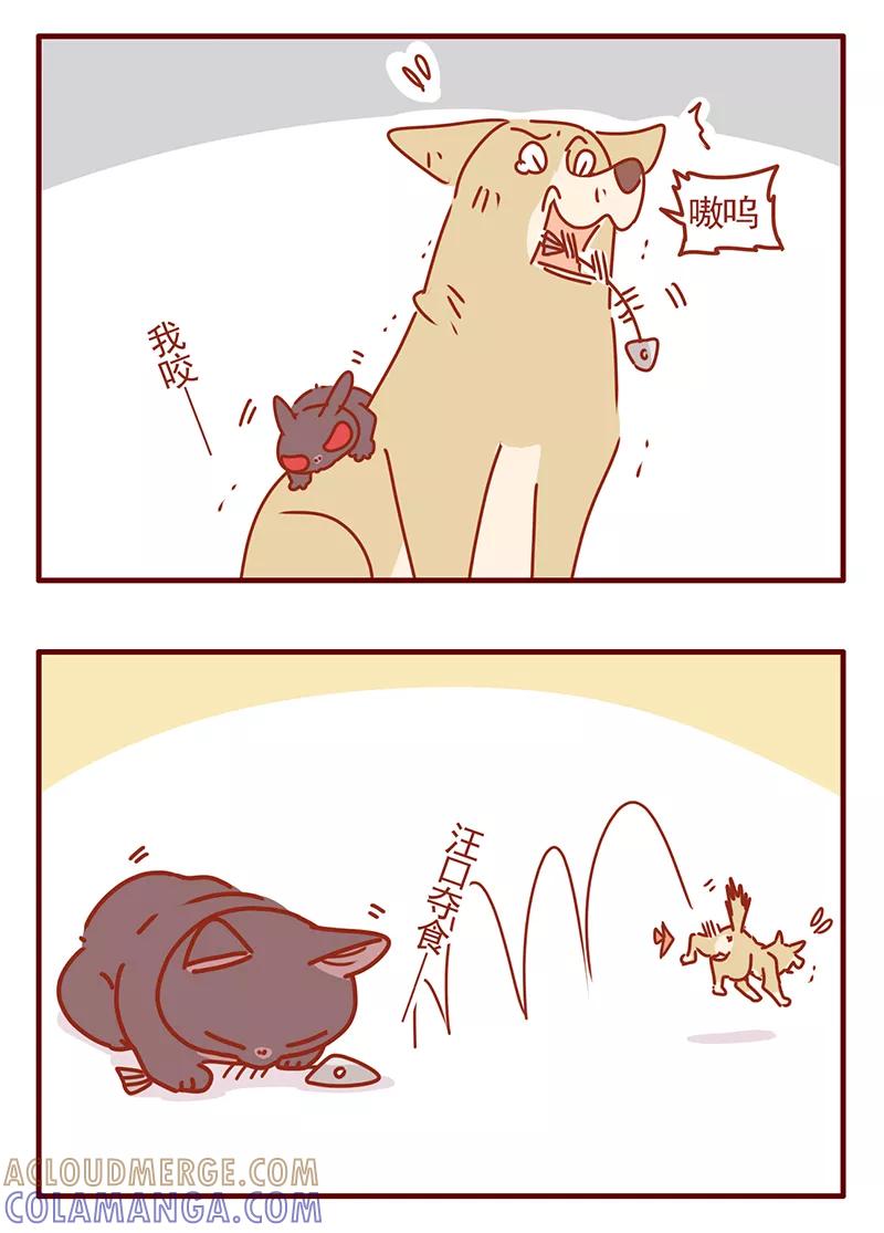 我只是一只小猫咪 第45话 第5页