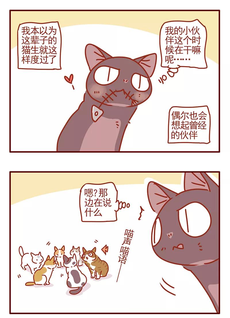 我只是一只小猫咪 第45话 第6页