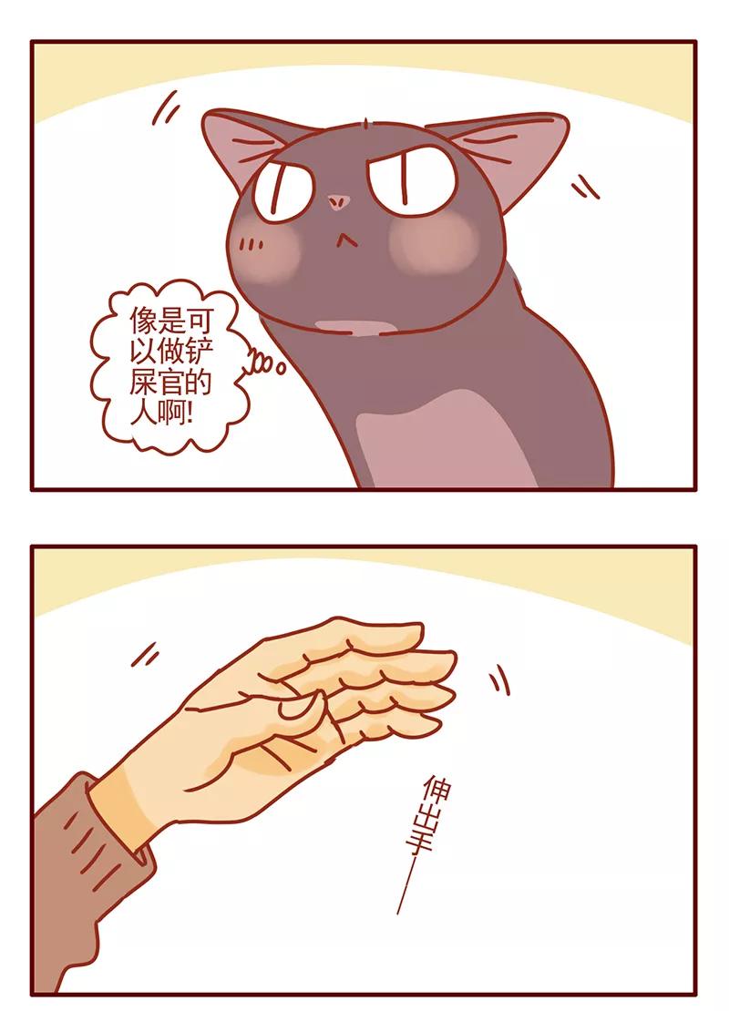 我只是一只小猫咪 第45话 第14页