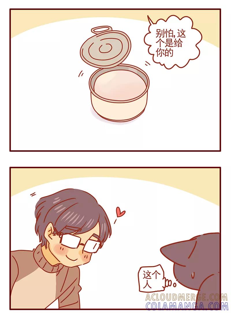 我只是一只小猫咪 第45话 第13页