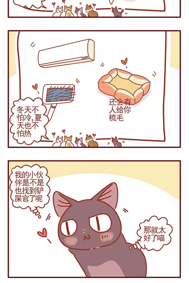 我只是一只小猫咪 第45话 第8页