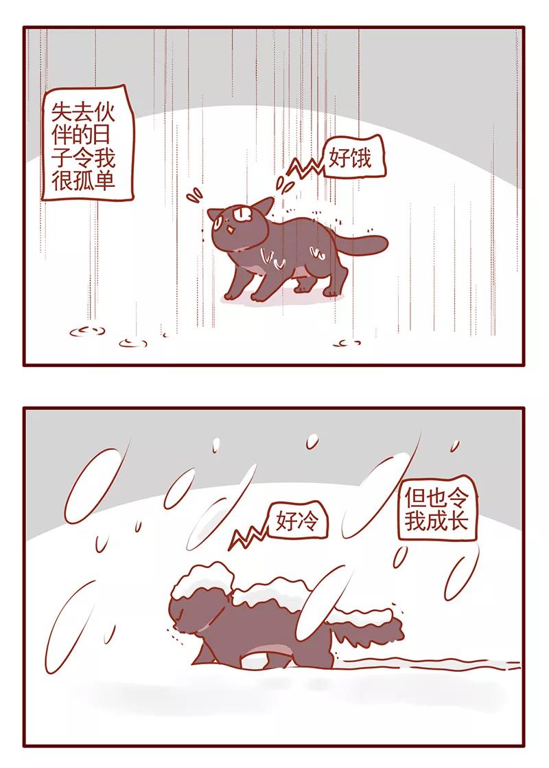 我只是一只小猫咪 第45话 第4页