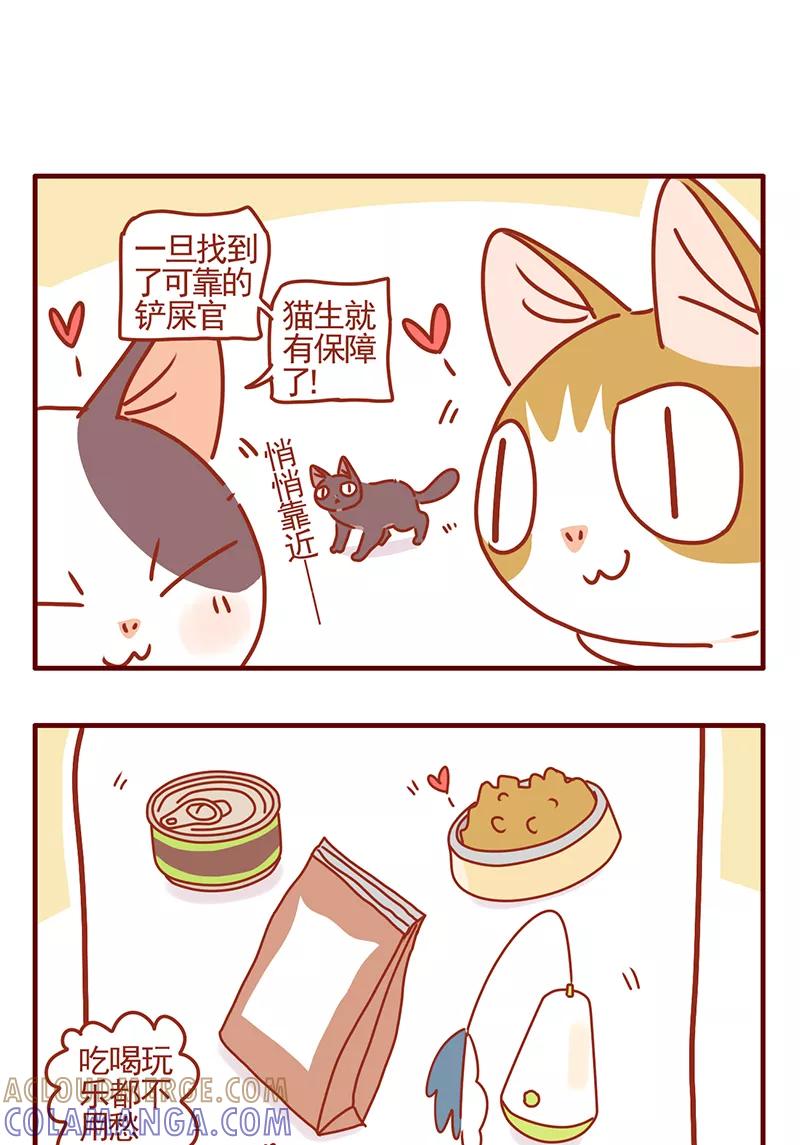 我只是一只小猫咪 第45话 第7页