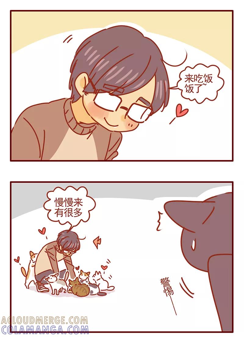 我只是一只小猫咪 第45话 第11页