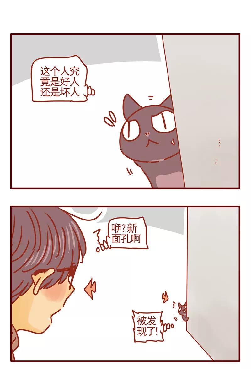 我只是一只小猫咪 第45话 第12页