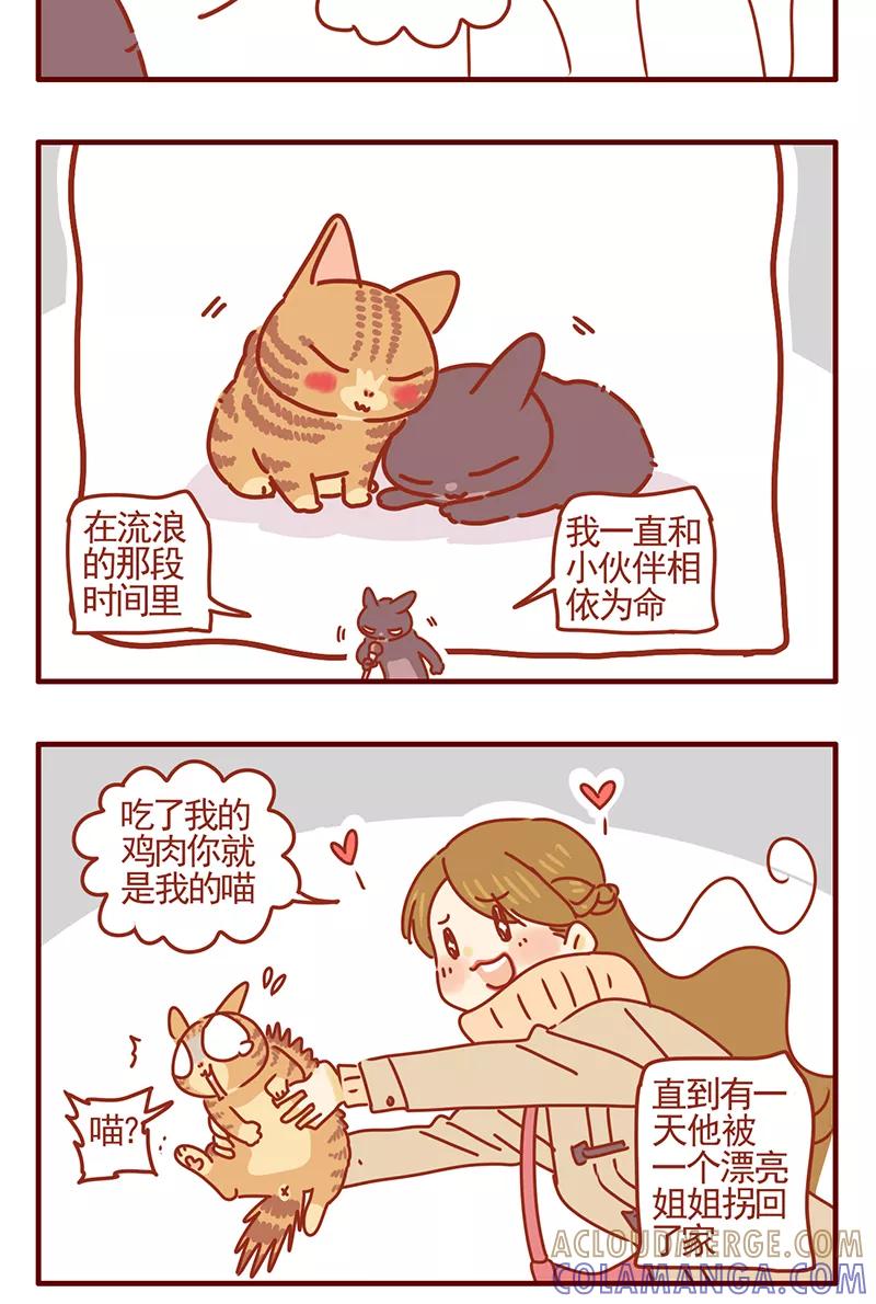 我只是一只小猫咪 第45话 第3页