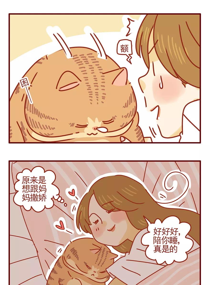 我只是一只小猫咪 第46话 第18页