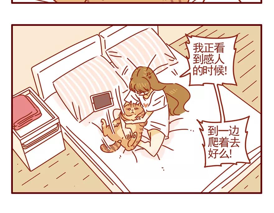 我只是一只小猫咪 第46话 第12页