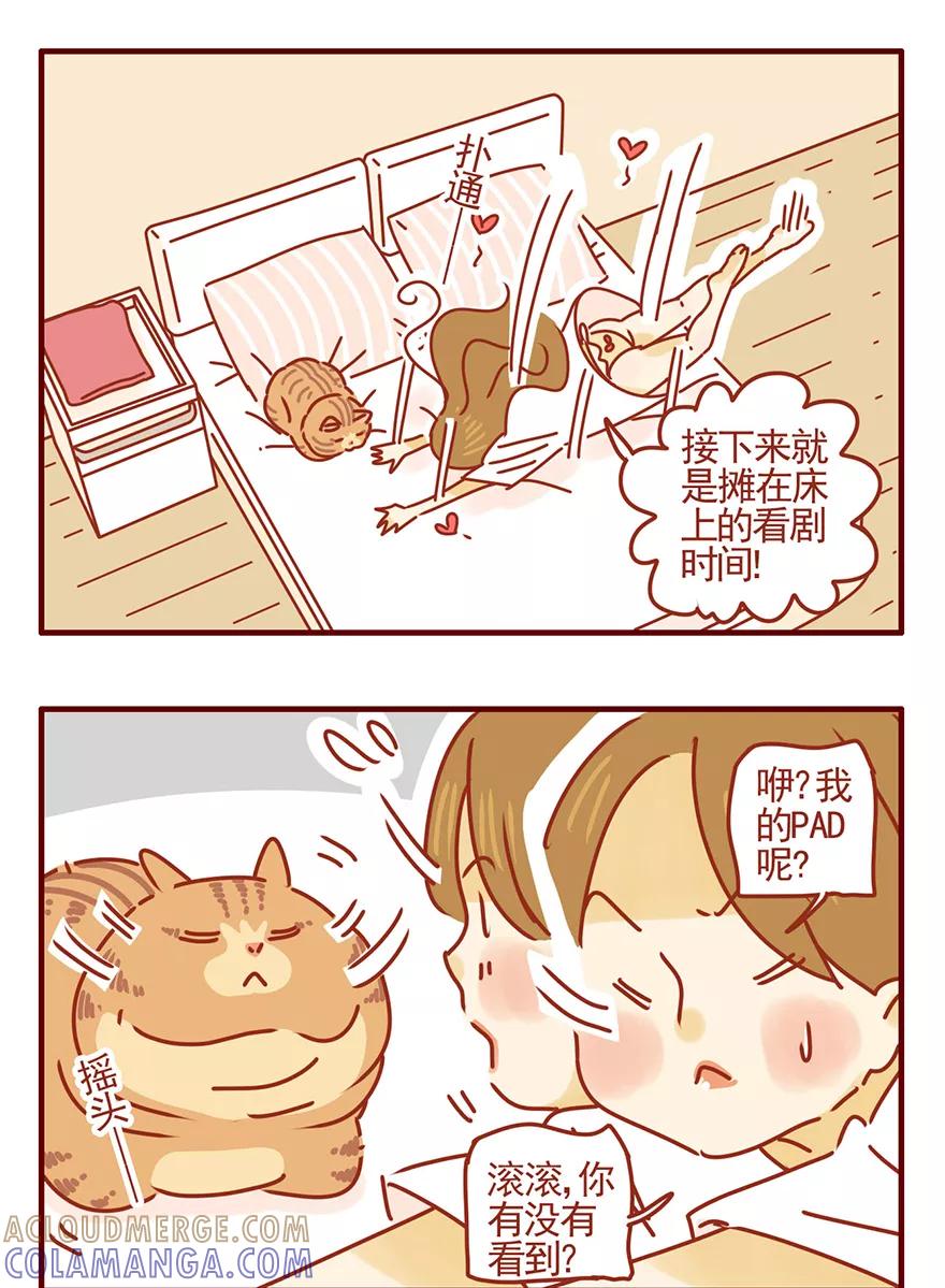 我只是一只小猫咪 第46话 第5页